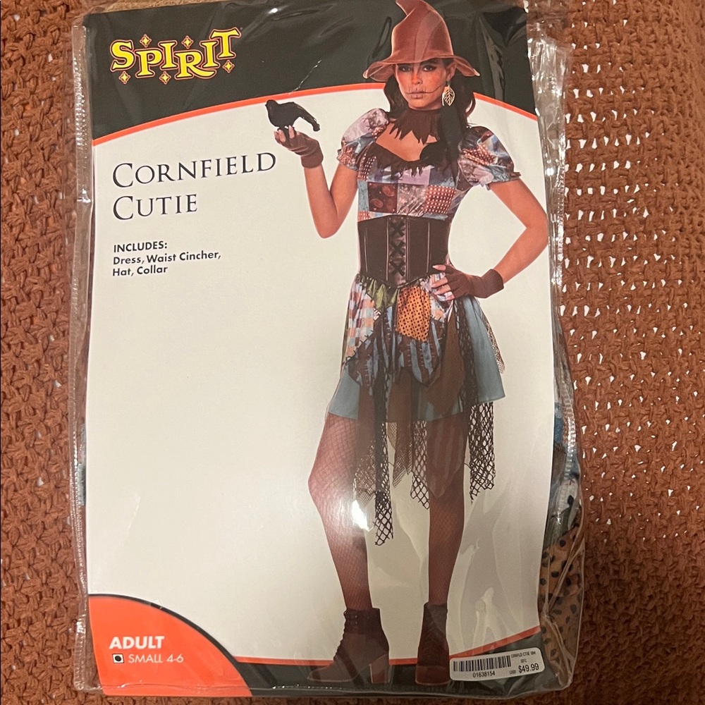 Spirit Cornfield Costume (Scarecrow Costume)